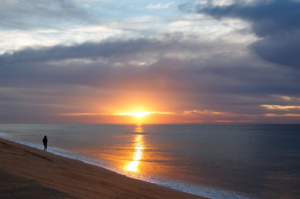 Reasons To Visit Cabo San Lucas