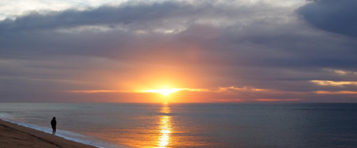 Reasons To Visit Cabo San Lucas Reasons To Visit Cabo San Lucas