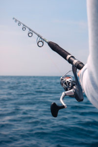 Winter Fishing in the Cabo San Lucas Sea
