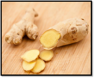 Overcoming Sea Sickness: What To Do