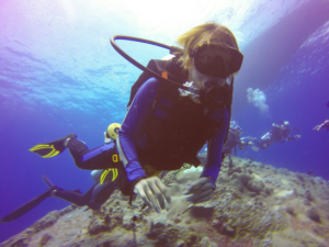 Diving and Snorkeling in Cabo
