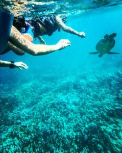 Activities to Indulge in on Your Cabo Vacation