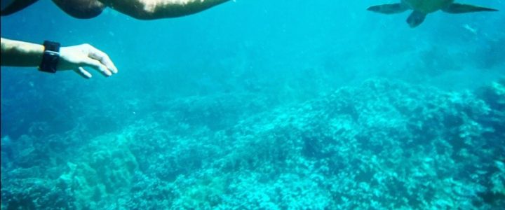 5 Off-the-Beaten-Path Activities to Indulge in on Your Cabo Vacation 5 Off-the-Beaten-Path Activities to Indulge in on Your Cabo Vacation