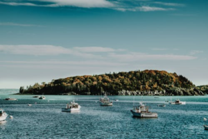 hite-boats-on-body-of-water