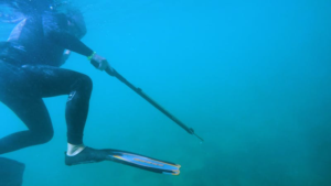diver-holding-speargun