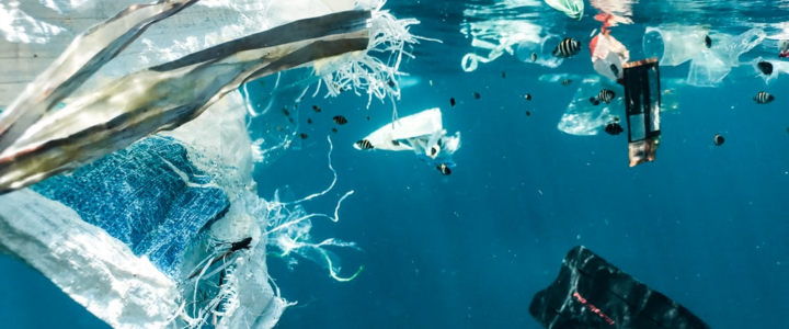 How to Go Greener on Your Private Yacht Charter