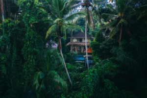 Aerial shot of villa in the jungle