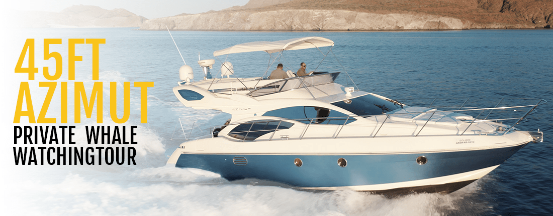 Cabo Yacht Charters