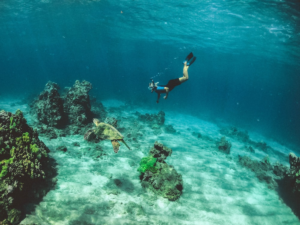 Person snorkeling