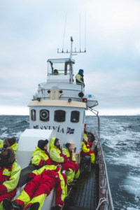 a group of people on a yacht to watch whales