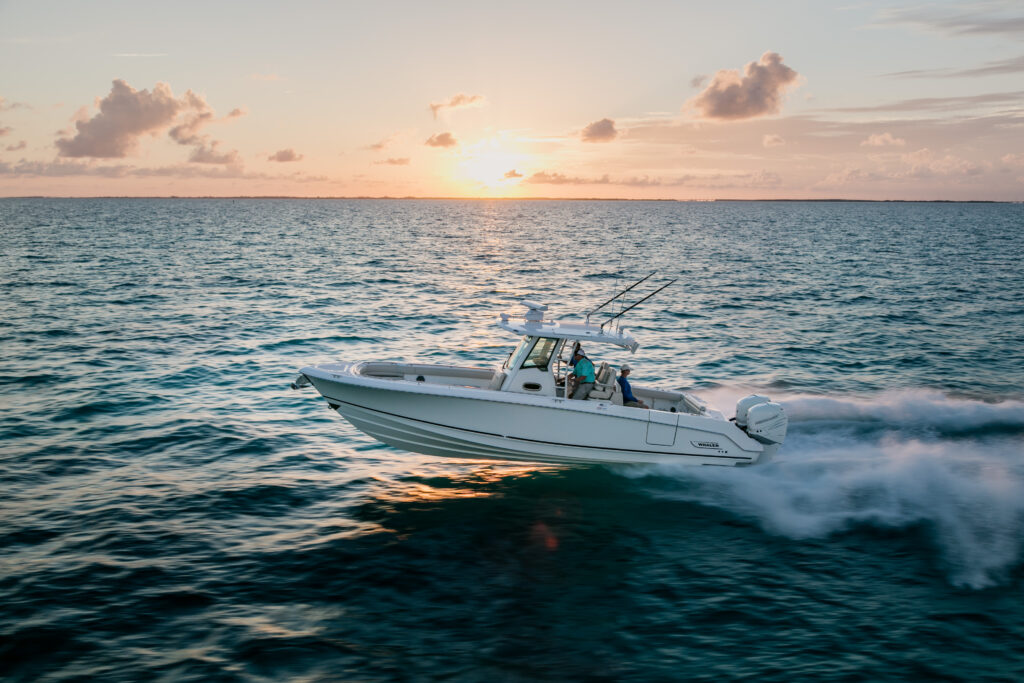 Boston Whaler Brokers in La Baja 