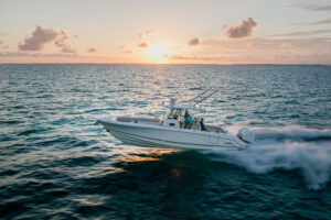 Boston Whaler Brokers in La Baja