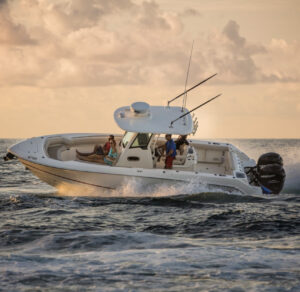Boston Whaler Brokers in La Baja