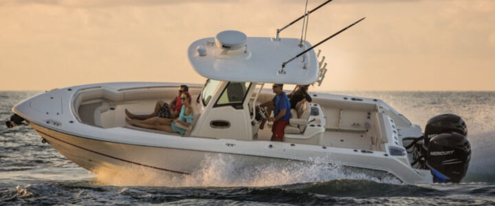 Boston Whaler in Los Cabos and La Paz