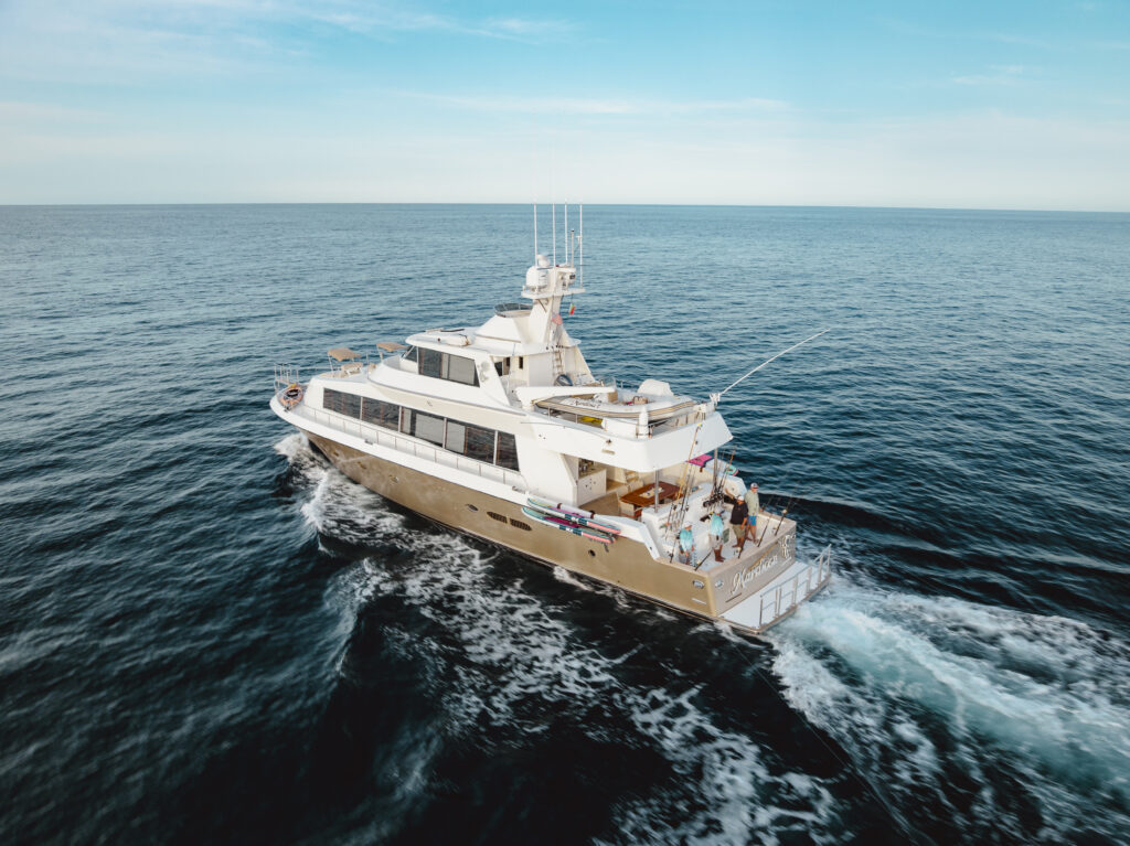 Celebrities Love Cabo