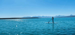 Multi-Day Charters in the Sea of Cortez
